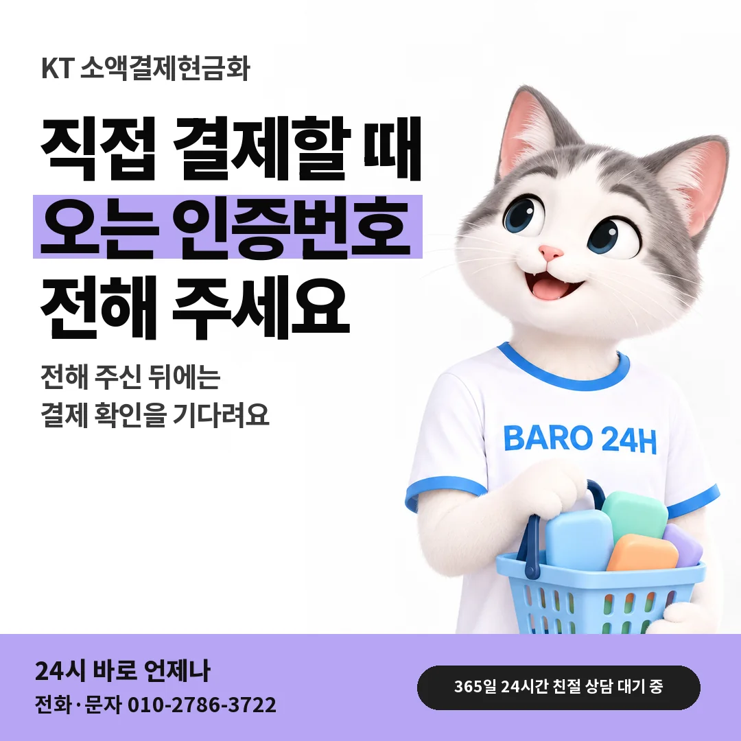 BARO 24H 티셔츠를 입은 3D 동물 캐릭터 옆에 「KT 결제 인증번호 차례」 제목을 얹은 안내 카드